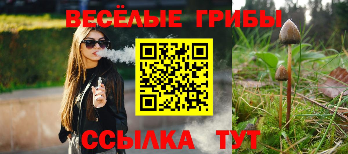 Галлюциногенные грибы GOLDEN TEACHER Омск